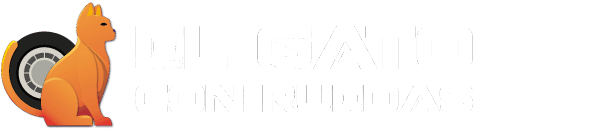 DIRECTORIO PROFESIONAL | elgatoconruedas.work